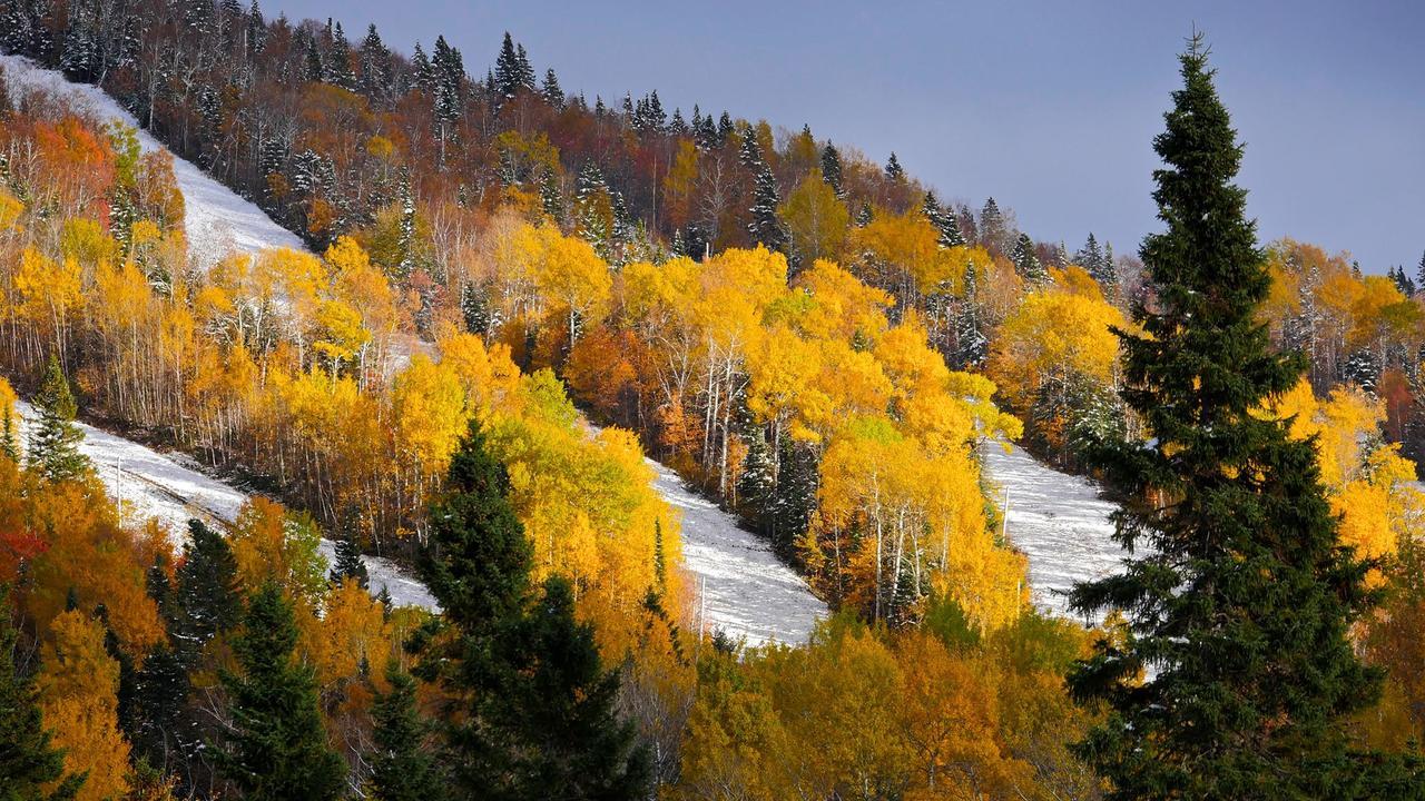 Le Bivouac - Les Chalets Spa Canada ラ・マルベー エクステリア 写真