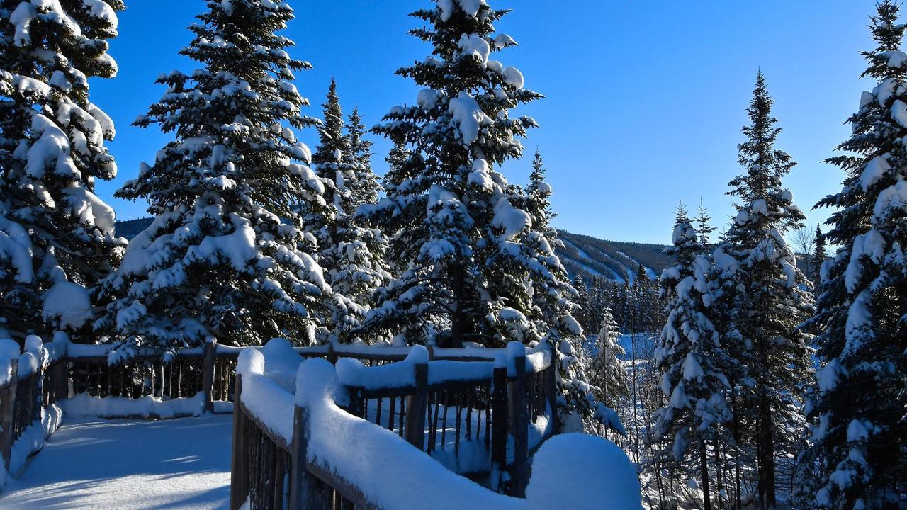 Le Bivouac - Les Chalets Spa Canada ラ・マルベー エクステリア 写真