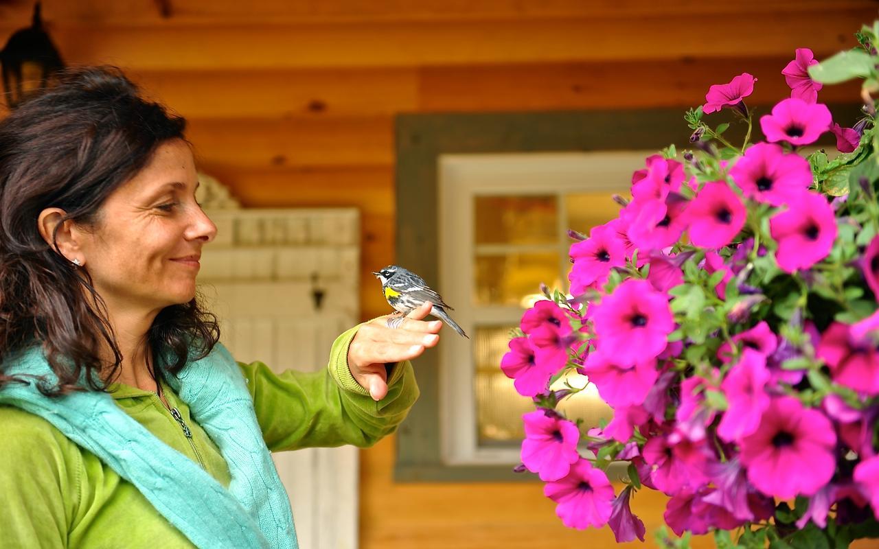 Le Bivouac - Les Chalets Spa Canada ラ・マルベー エクステリア 写真